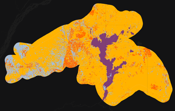 The outcome of a random forest model